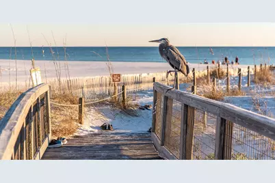 27 Anchor Rode Circle, Santa Rosa Beach, FL 32459 - Photo 44
