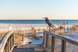 27 Anchor Rode Circle, Santa Rosa Beach, FL 32459 - Photo 44