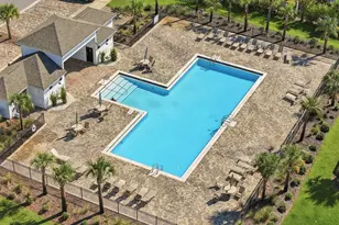 12 Palmview Ln, Santa Rosa Beach, FL 32459 - Photo 54