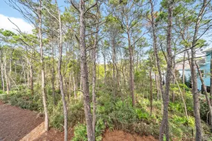 178 Valdare Ln, Inlet Beach, FL 32461 - Photo 40