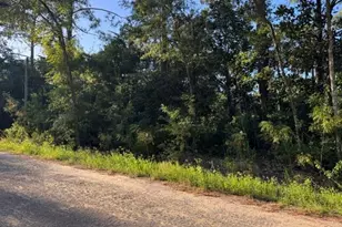 Lots 10-11 Blk 42, Santa Rosa Beach, FL 32459 - Photo 1