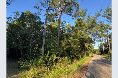 Lots 10-11 Blk 42, Santa Rosa Beach, FL 32459 - Photo 4
