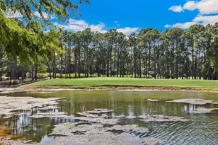 3508 Burnt Pine Ln, Miramar Beach, FL 32550 - Photo 88