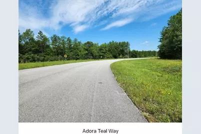 Tbd John Givens Road, Crestview, FL 32539 - Photo 10