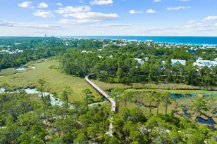 367 East Royal Fern Way, Santa Rosa Beach, FL 32459 - Photo 48