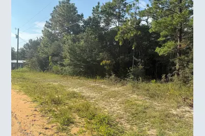 Tbd W Fernwood Court, Defuniak Springs, FL 32433 - Photo 4