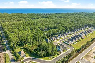 123 Southern Pnes Rd, Santa Rosa Beach, FL 32459 - Photo 34
