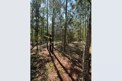 Lot 4 & 5 E Buckeye Street, Defuniak Springs, FL 32433 - Photo 4