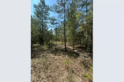 Lot 5 E Buckeye Street, Defuniak Springs, FL 32433 - Photo 1