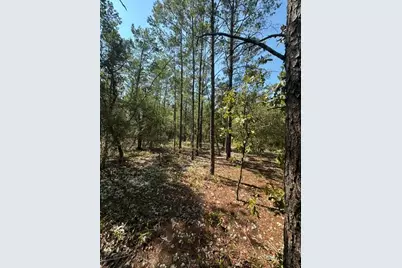 Lot 4 E Buckeye Street, Defuniak Springs, FL 32433 - Photo 4