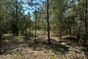 Lot 4 E Buckeye St, Defuniak Springs, FL 32433 - Photo 1