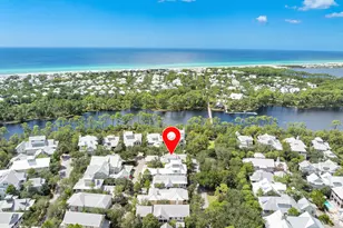 46 Mistflower Lane, Santa Rosa Beach, FL 32459 - Photo 88