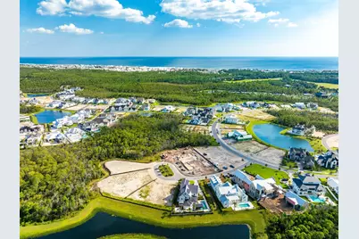 Lot 201 Sundew Place, Watersound, FL 32461 - Photo 4