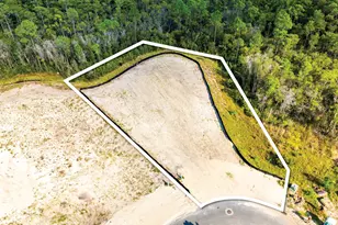 Lot 201 Sundew Pl, Watersound, FL 32461 - Photo 1