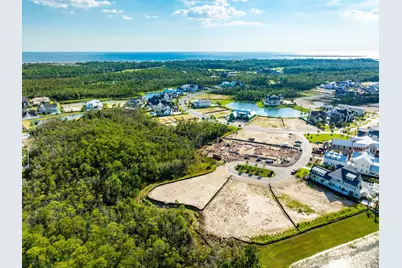 Lot 201 Sundew Place, Watersound, FL 32461 - Photo 6