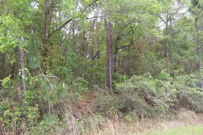 7Ac Pine Forest Road, Pensacola, FL 32526 - Photo 4