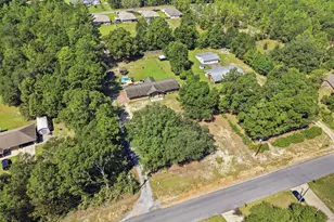 3945 Painter Branch Rd, Crestview, FL 32539 - Photo 64