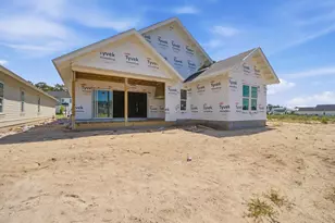 100 Pollard Cv E, Watersound, FL 32461 - Photo 4