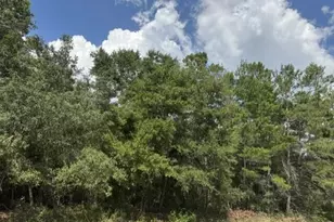 Lot 8 Bushton St, Navarre, FL 32566 - Photo 1