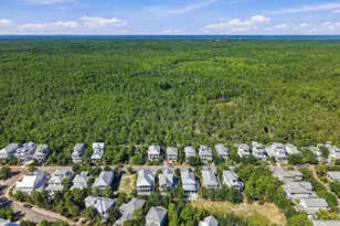313 Morgans Trail, Santa Rosa Beach, FL 32459 - Photo 72