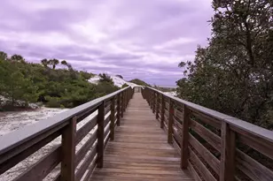 313 Morgans Trail, Santa Rosa Beach, FL 32459 - Photo 68