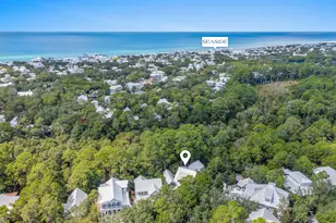 163 Hammock Ln, Santa Rosa Beach, FL 32459 - Photo 48