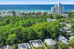 297 Cassine Garden Cir, Santa Rosa Beach, FL 32459 - Photo 14