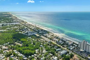 297 Cassine Garden Cir, Santa Rosa Beach, FL 32459 - Photo 84