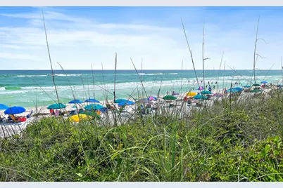 297 Cassine Garden Circle, Santa Rosa Beach, FL 32459 - Photo 10
