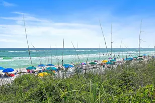 297 Cassine Garden Cir, Santa Rosa Beach, FL 32459 - Photo 10