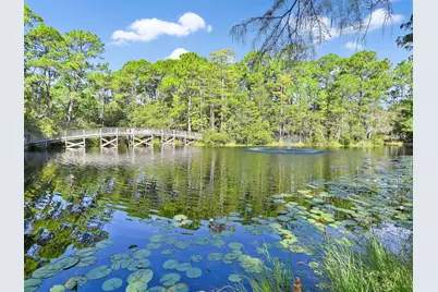 297 Cassine Garden Circle, Santa Rosa Beach, FL 32459 - Photo 54