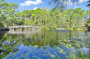 297 Cassine Garden Cir, Santa Rosa Beach, FL 32459 - Photo 54