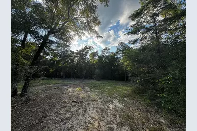 2.24 Acres Jv Woolley Rd Road, Crestview, FL 32539 - Photo 2
