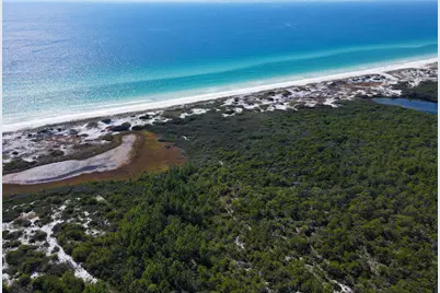 20 Cypress Walk, Santa Rosa Beach, FL 32459 - Photo 10