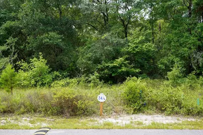 Lot 24 Hibernate Way, Freeport, FL 32439 - Photo 2