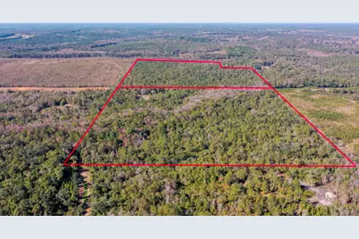 75 Acres N Florida 81, Ponce de Leon, FL 32455 - Photo 2
