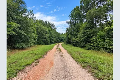 5.4 Acres Sumac Road, Westville, FL 32464 - Photo 8