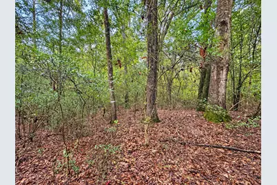 5.4 Acres Sumac Road, Westville, FL 32464 - Photo 6