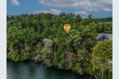 Lot 20 Blue Pond, Ponce de Leon, FL 32455 - Photo 6