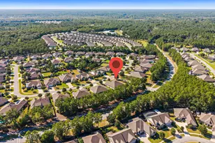 402 Sweet Tea Ln, Freeport, FL 32439 - Photo 62