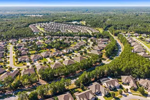 402 Sweet Tea Ln, Freeport, FL 32439 - Photo 58