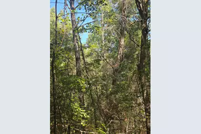 Lot 1 & 2 Antioch Road, Crestview, FL 32536 - Photo 6