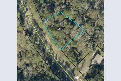 Lot 1 & 2 Antioch Road, Crestview, FL 32536 - Photo 10