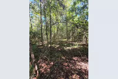 Lot 1 & 2 Antioch Road, Crestview, FL 32536 - Photo 2