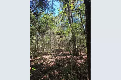 Lot 1 & 2 Antioch Road, Crestview, FL 32536 - Photo 8