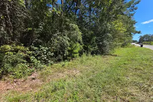 Lot 1 & 2 Antioch Rd, Crestview, FL 32536 - Photo 1