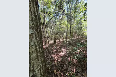 Lot 1 & 2 Antioch Road, Crestview, FL 32536 - Photo 4
