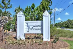 80 Heron's Crossing, Santa Rosa Beach, FL 32459 - Photo 2