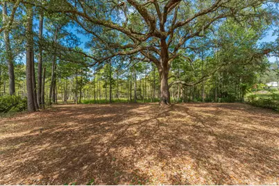 727 Wrights Creek Road, Caryville, FL 32427 - Photo 40