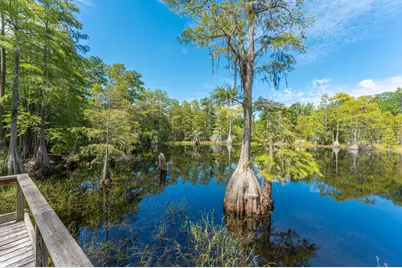 727 Wrights Creek Road, Caryville, FL 32427 - Photo 42
